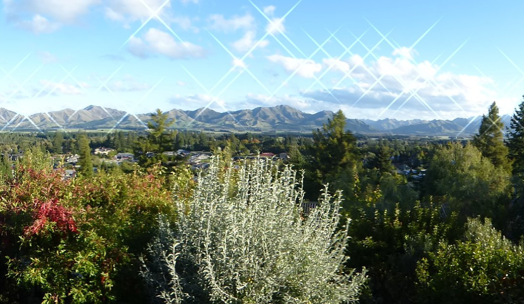 8 on Oregon Boutique Lodge主图