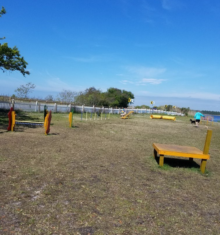 The Dog Park-格尔夫海岸必去景点