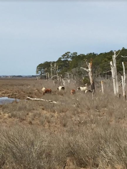 The River Gem BnB主图