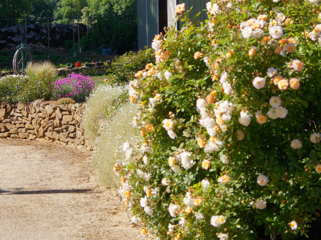 Acaba d'Entrar主图