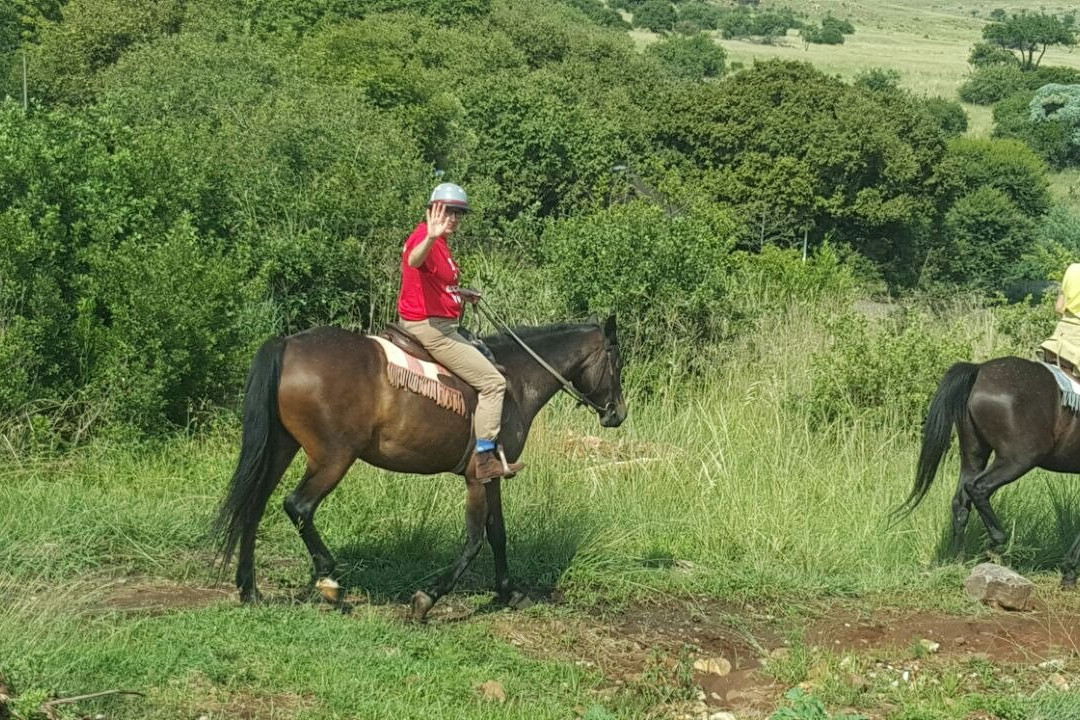 African Horse Safaris景点图片