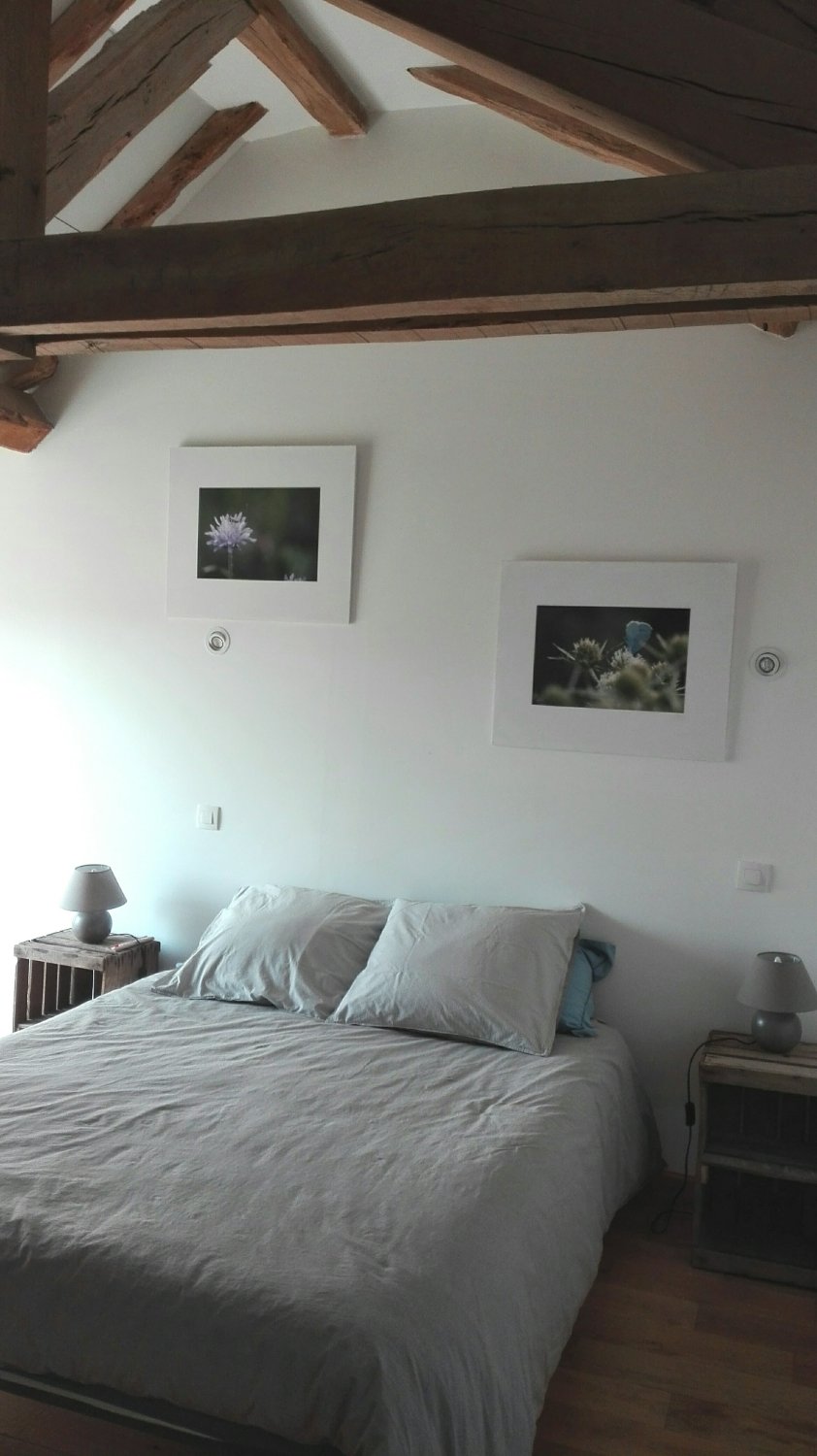 Ferme De Bellevue-官方