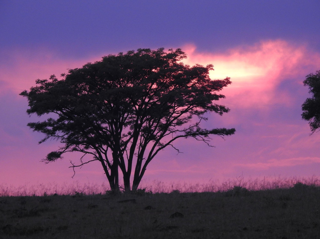 Ezemvelo Nature Reserve主图