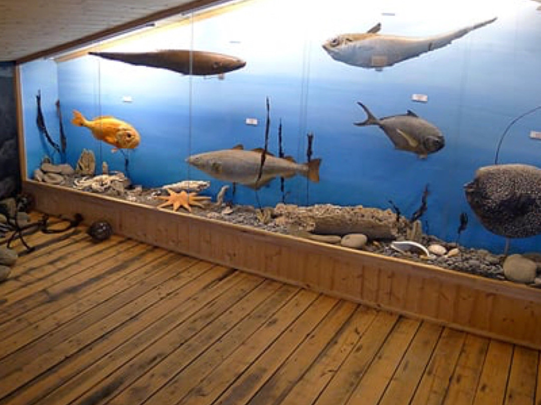 内斯克伊斯塔泽旅游景点-Museum of Natural History