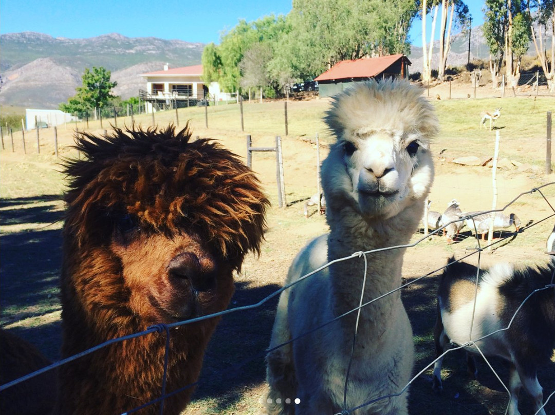 Glen Eden Farm主图