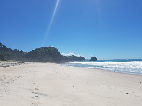 Whiritoa Beach-Whiritoa必去景点
