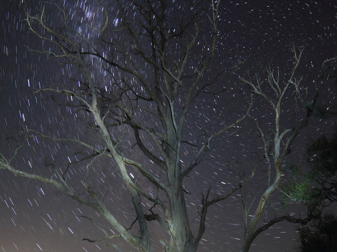 Wines for Joanie-Sidmouth必去景点