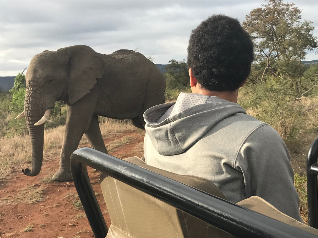 因博迪莫游戏小屋主图