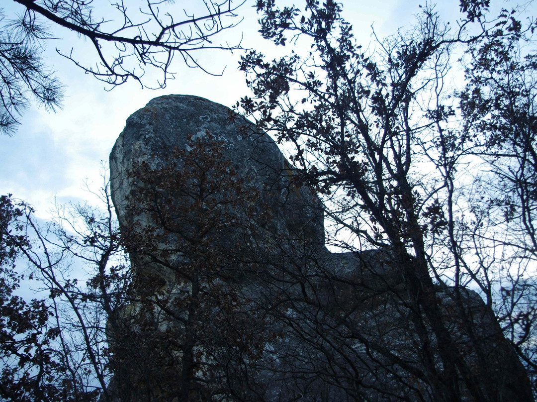 Zalisne旅游景点-Karalezskaya Valley Sphynxes