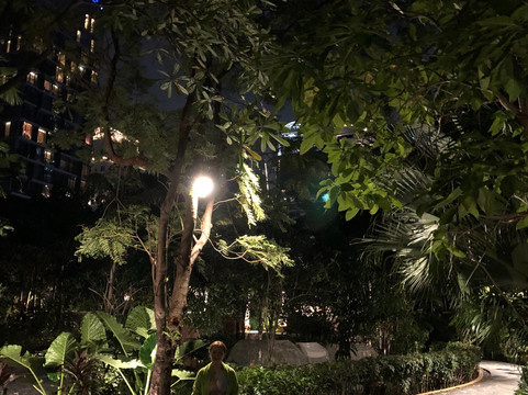 曼谷康莱德酒店主图