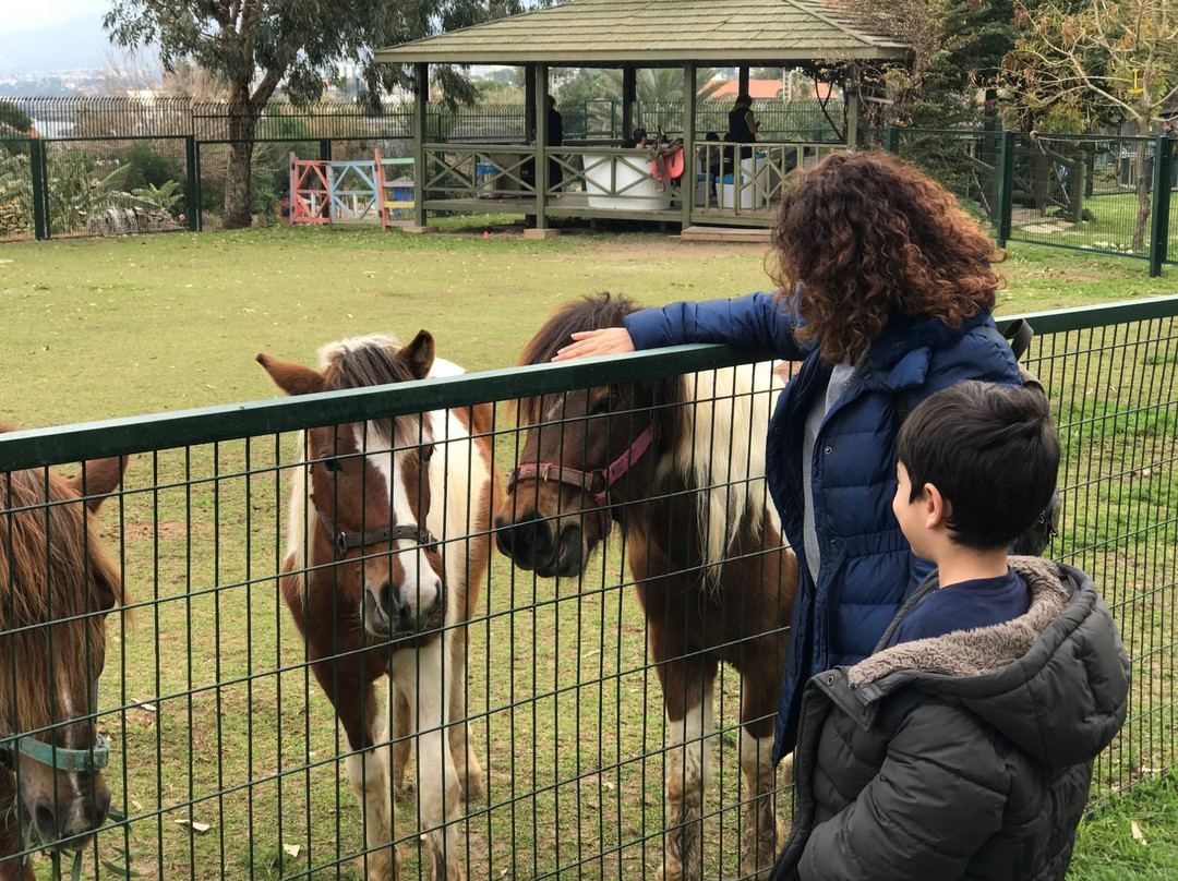 Merit Crystal Cove Hotel主图