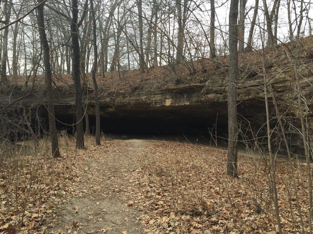 Pinnacles Youth Park-Sturgeon必去景点