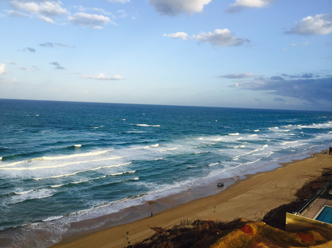 丹尼尔荷兹利亚酒店主图