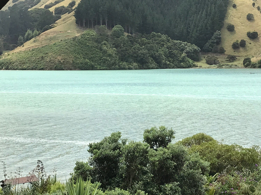 Cable Bay Lodge-Treehouse Waterfront Hideaway主图