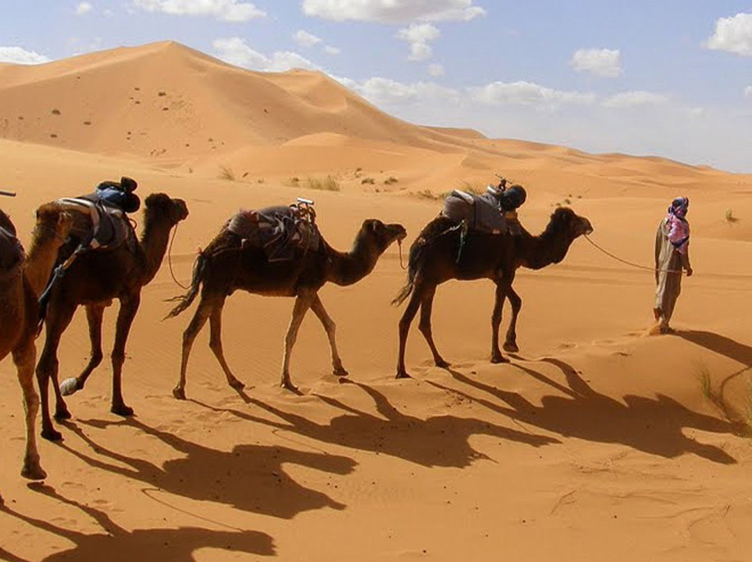 Alipok Tours-瓦尔扎扎特必去景点