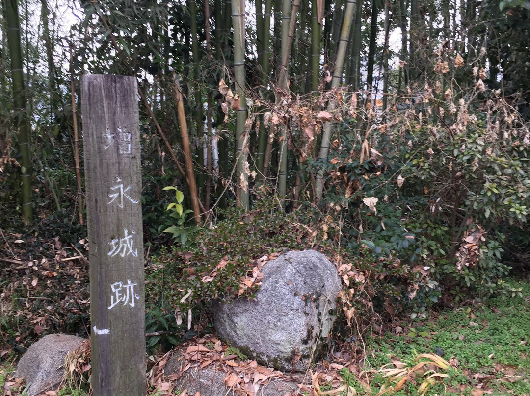 Birthplace of  Saigo Takamori's Ancestors景点图片