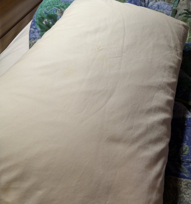 威廉达顿汽车旅馆主图