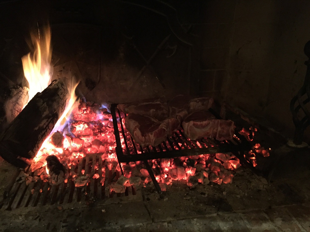 Tenuta Mocajo