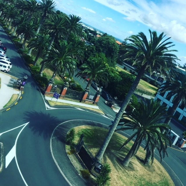 奥克兰艾勒斯利诺富特酒店主图