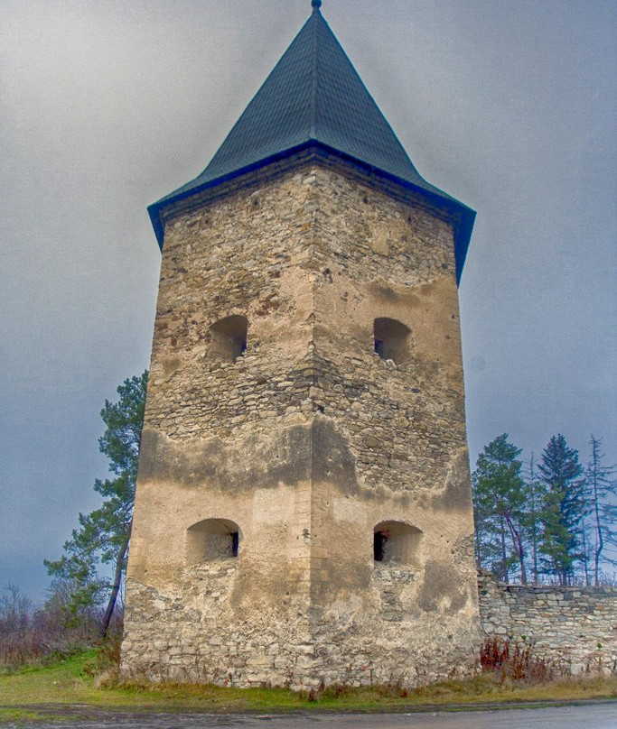 Castle Ruins at Kryvche景点图片