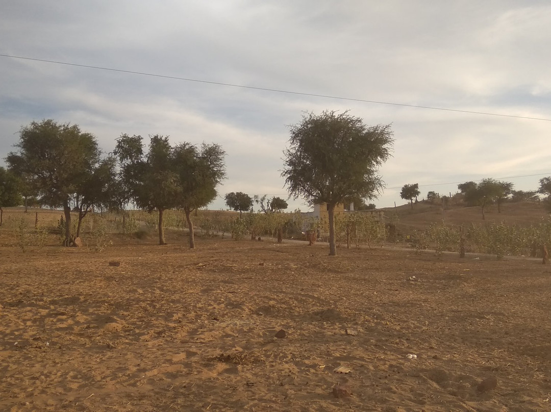 Jodhpur village jeep safari景点图片