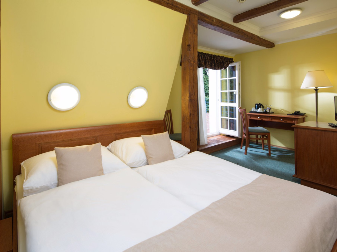 Spa Resort Libverda - Hotel Lesní Zátiší主图