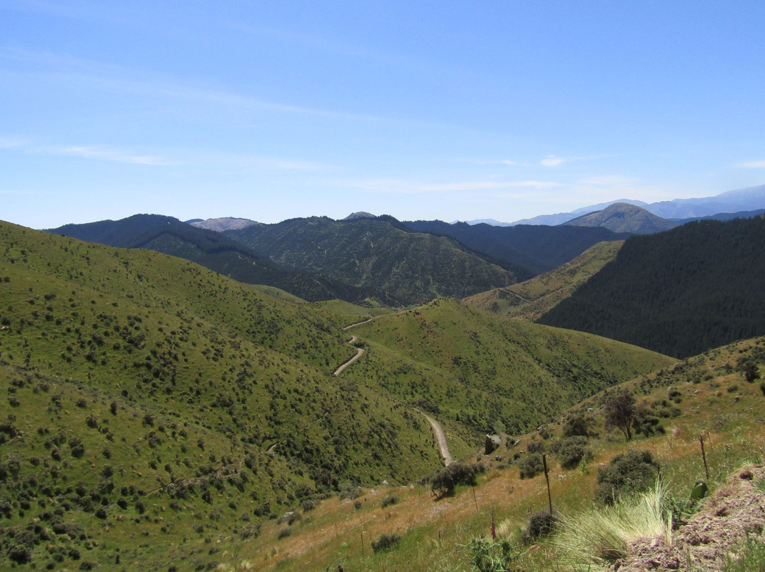 Molesworth High Country Tours-布伦海姆必去景点