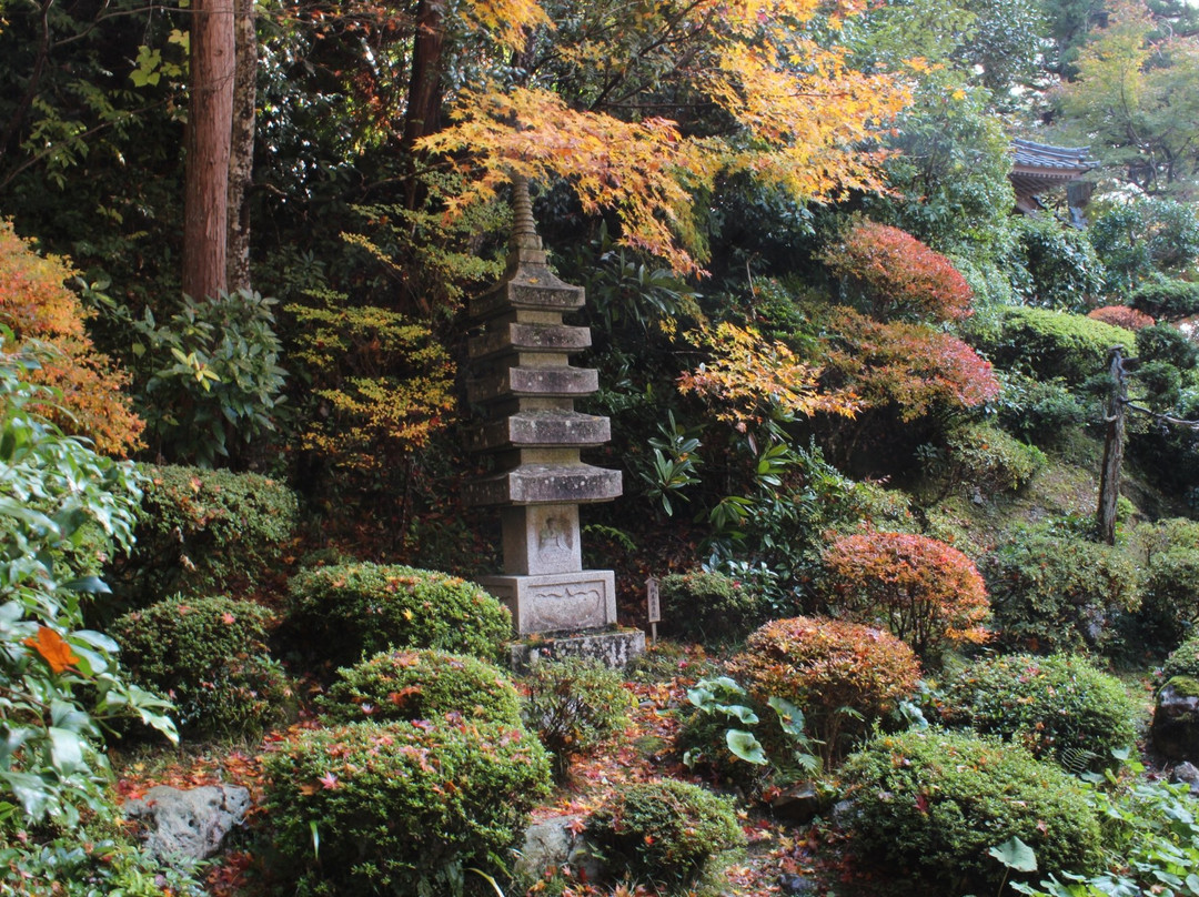 Yosenji Temple-福知山市必去景点