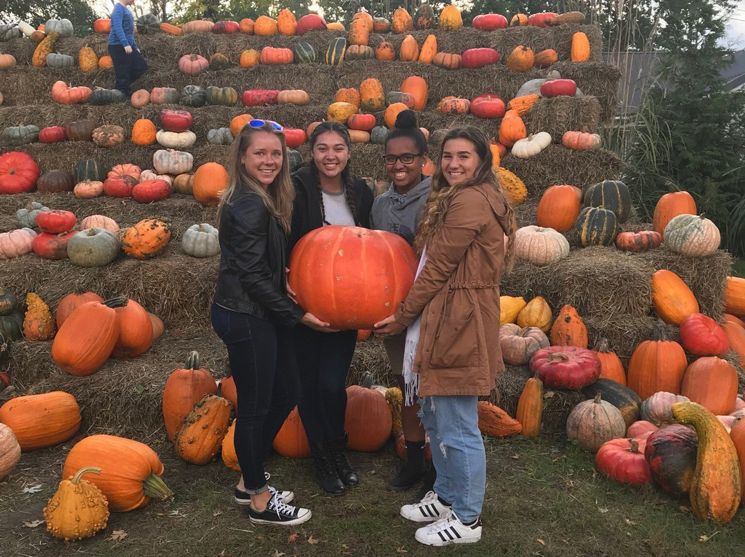 Johnston Fruit Farms-Swanton必去景点