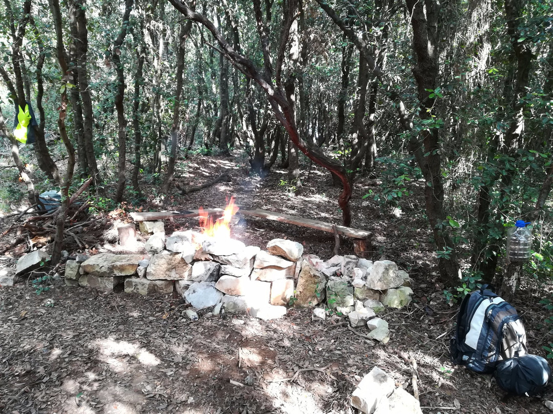 Survival and Adventure School ExtremeSurvive-普拉必去景点