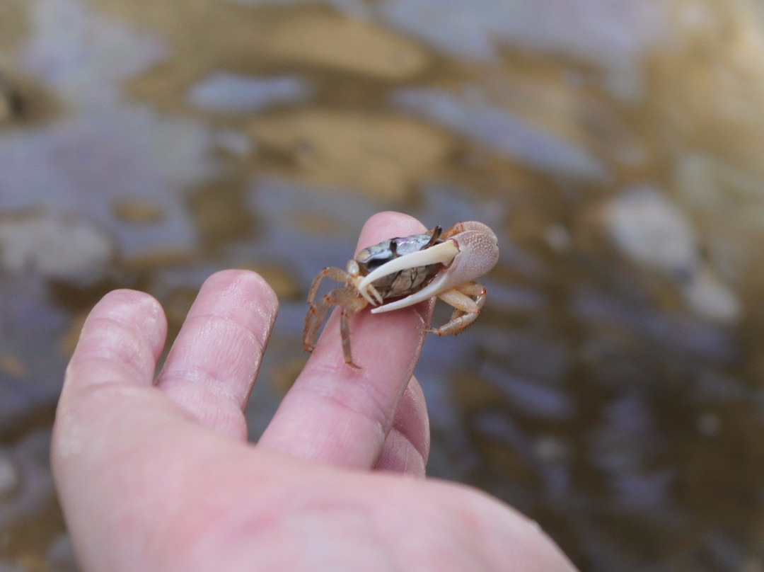 Gulf Specimen Marine Lab & Aquarium-Panacea必去景点