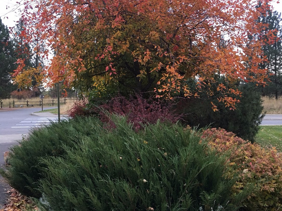 Mirabeau Meadows Park-斯波坎谷必去景点