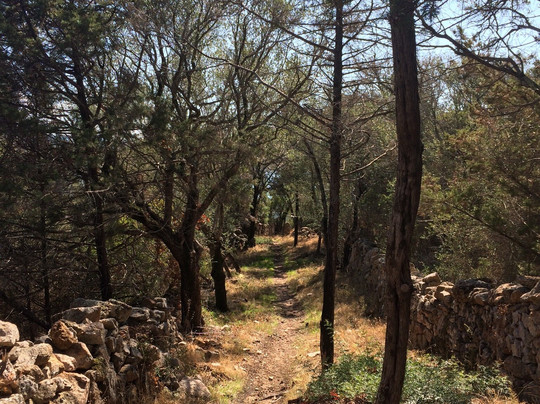 Tour Génoise De Capanella-Serra-di-Ferro必去景点