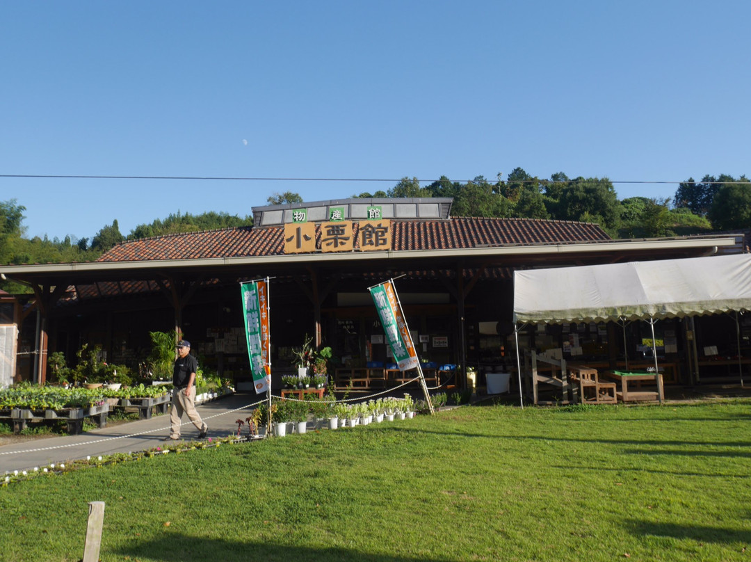 Michinoeki Kahoku Ogurigo-山鹿市必去景点