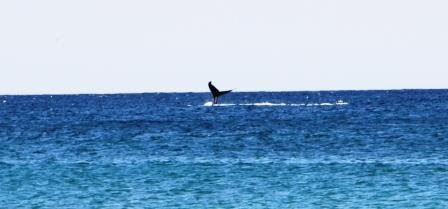 Elizabeth Beach-布鲁斯海滩必去景点