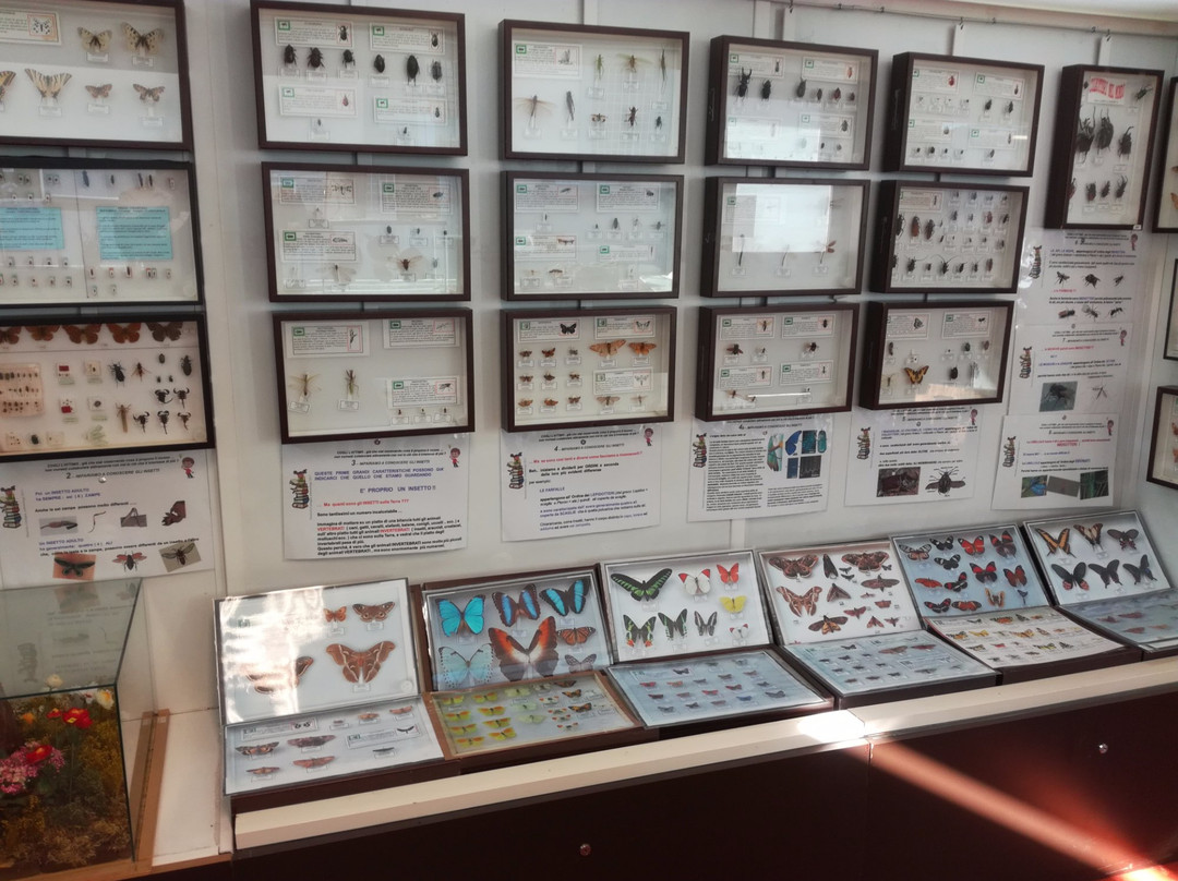 Museo Civico di Scienze Naturali景点图片