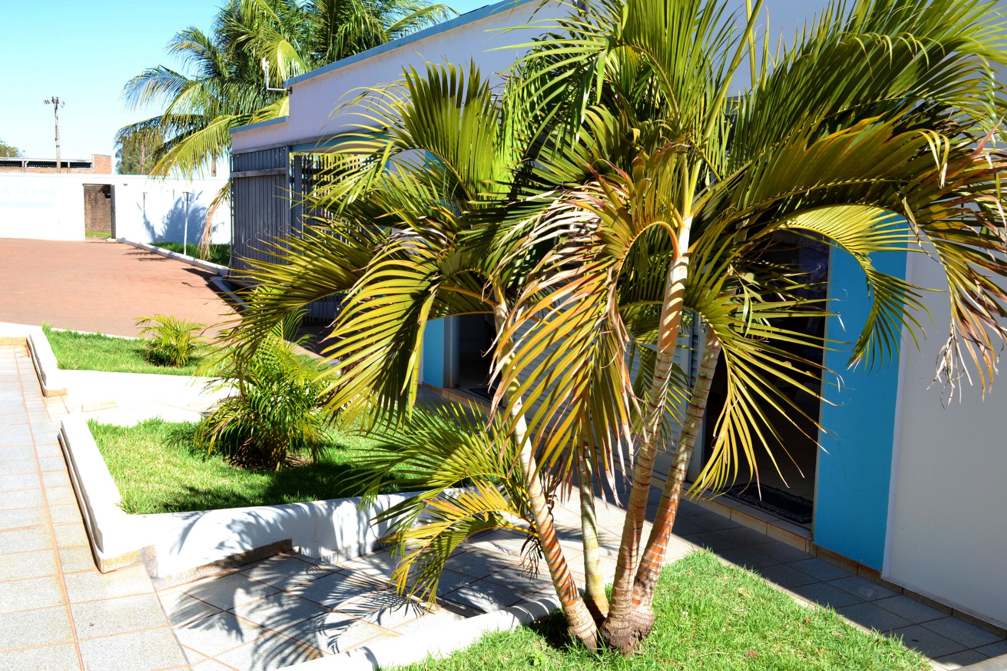 Hotel Executivo Palace-官方