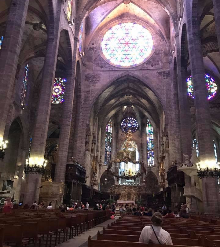 Mallorca Top Excursions & Activities景点图片