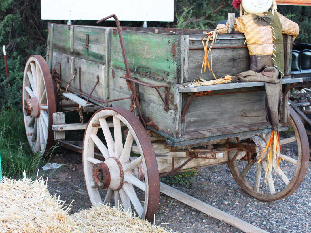 Jim's Trading Post-Rimrock必去景点
