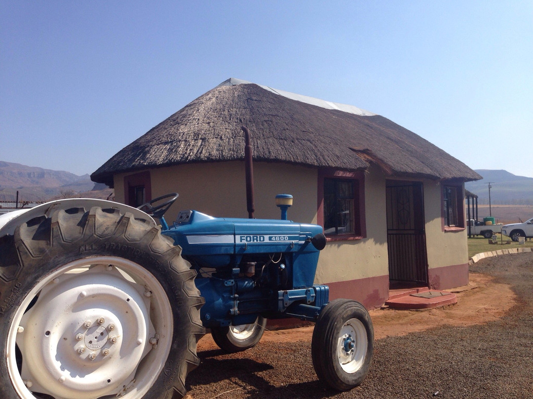 Tugela Falls Bed and Breakfast