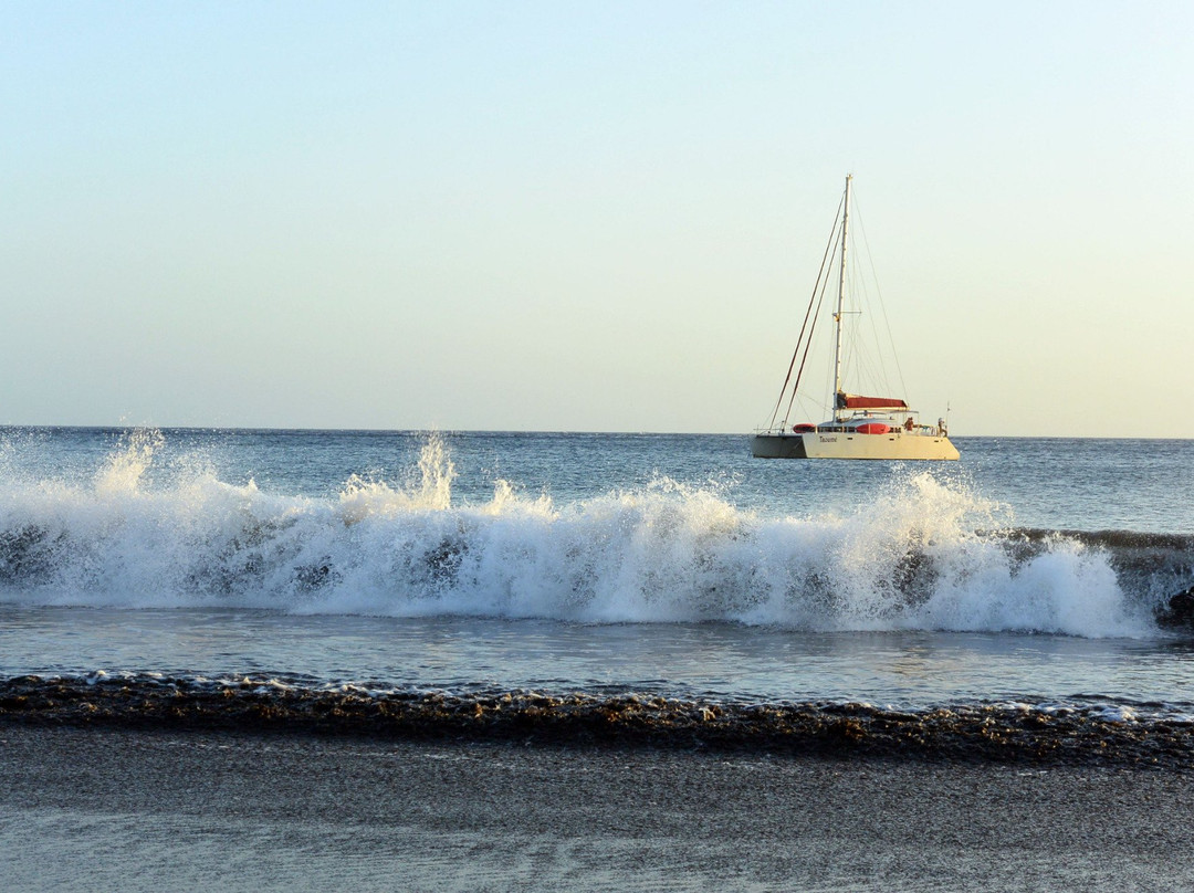 Association Parenthèse Marine-滨海圣西尔必去景点