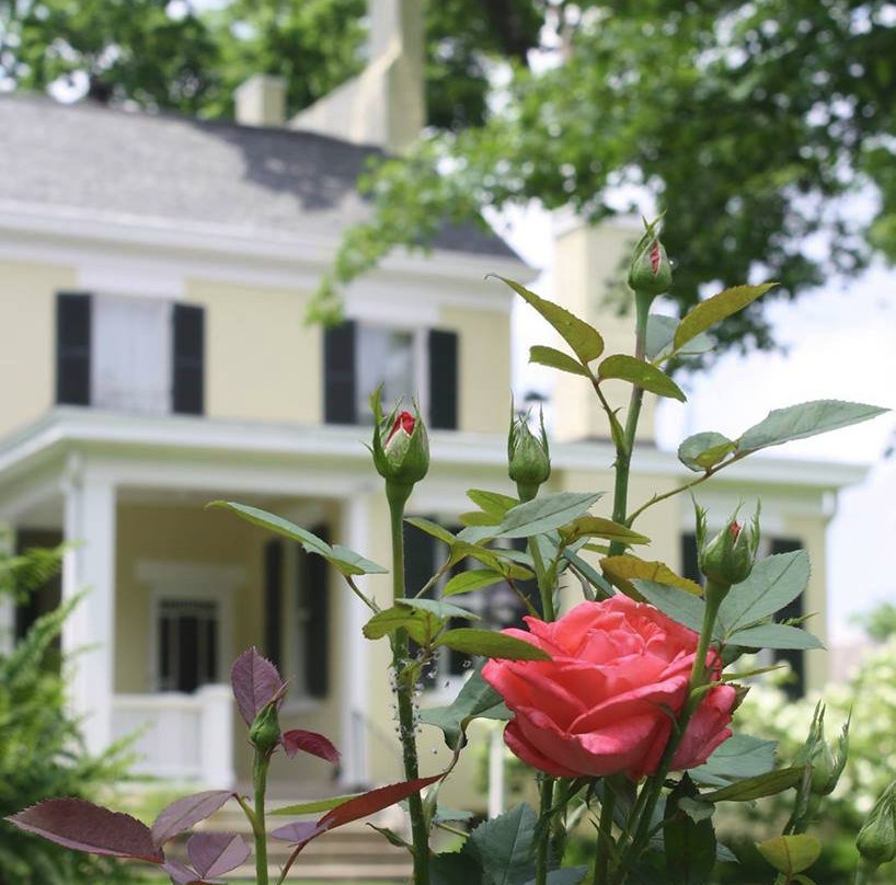 Adsmore House & Gardens景点图片