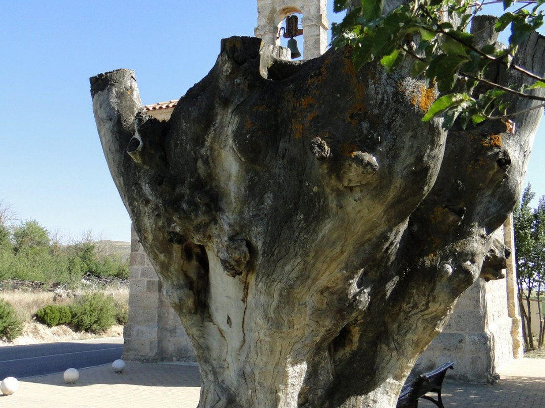 Ermita del Santo Cristo de la Vega景点图片