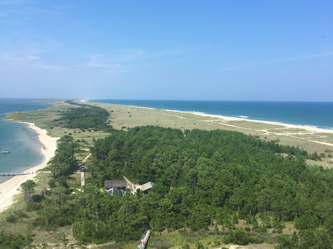 Harkers Island旅游攻略图片