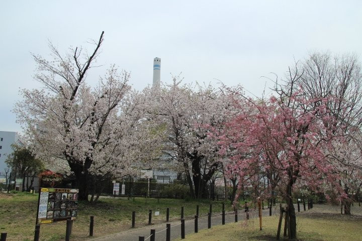 Nakameguro Park景点图片