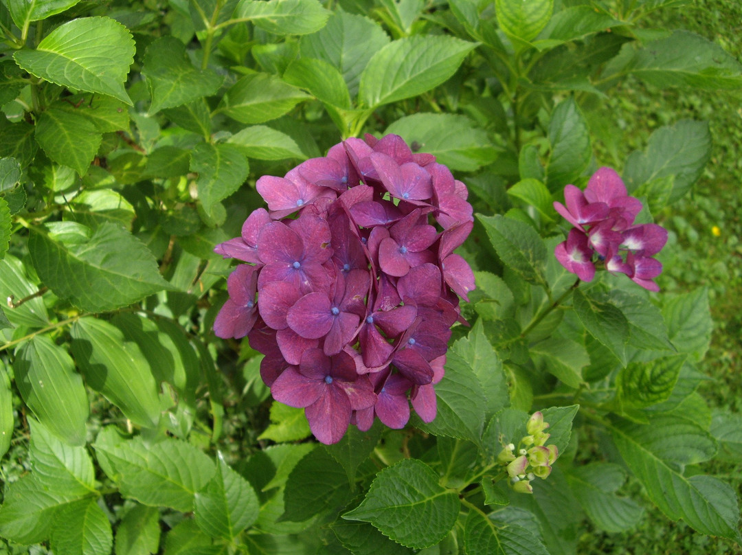 Botanischer Garten-Ibbenbueren必去景点