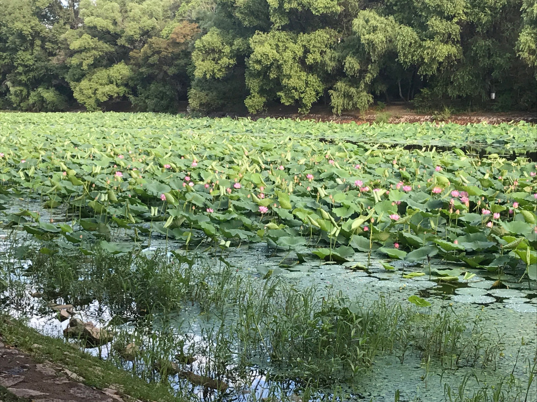 龙沙公园-齐齐哈尔市必去景点