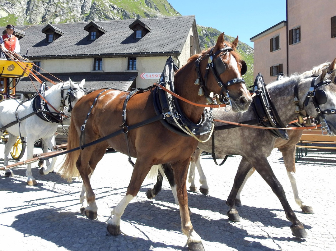 Gotthardpass-Airolo必去景点