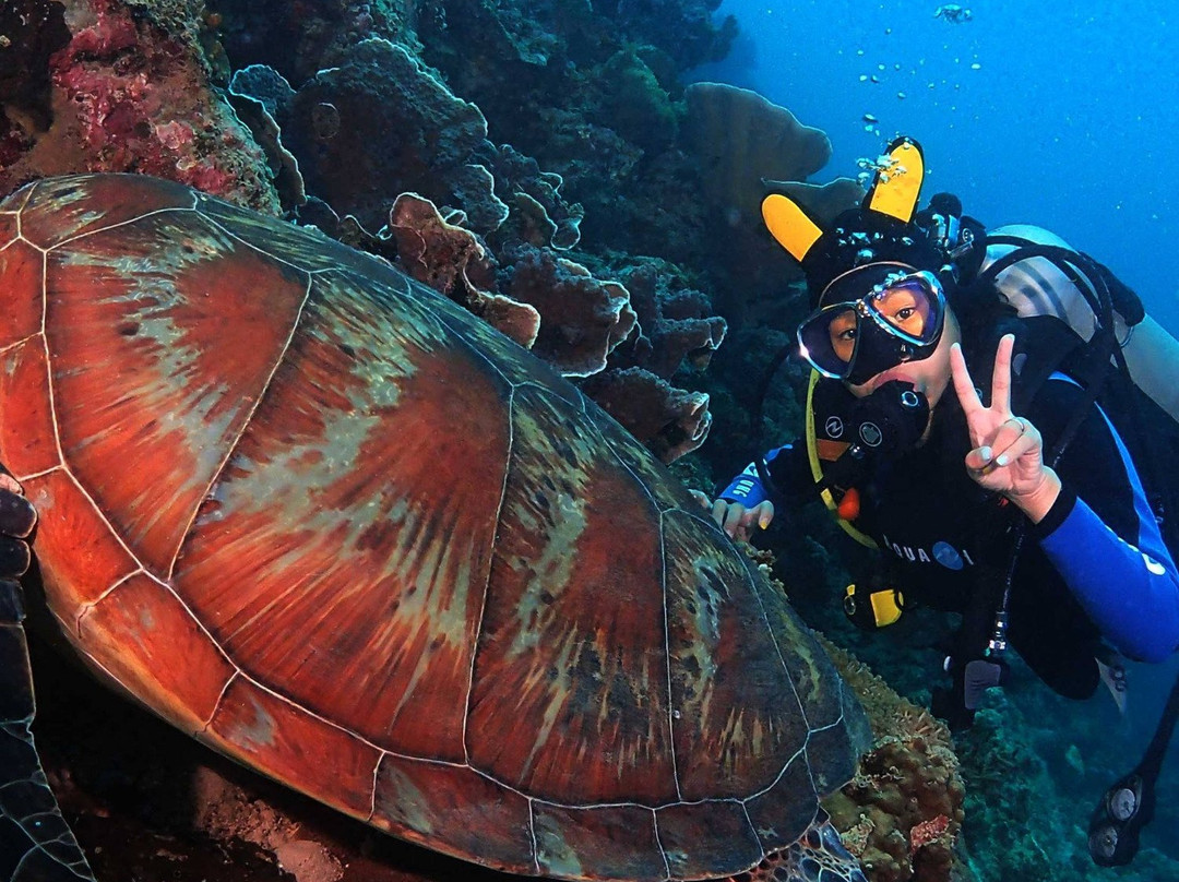 Royal Dive Center-长滩岛必去景点