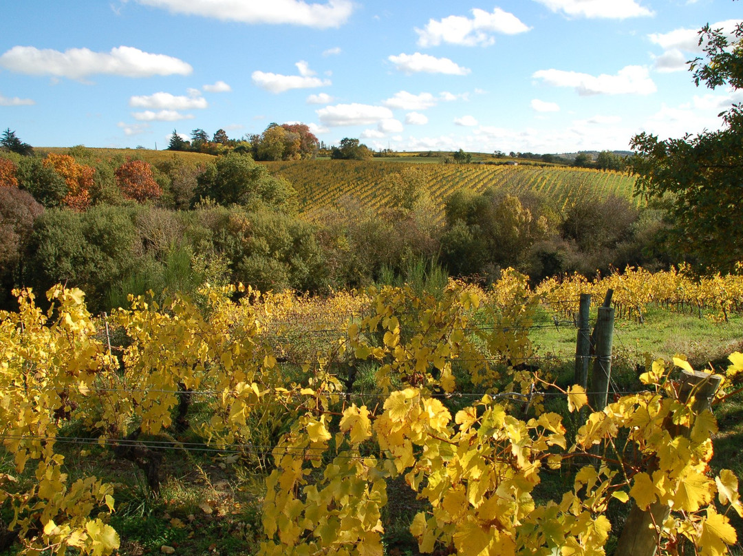 Les Vignes Selon Val景点图片